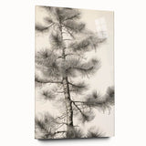 Vintage Botanical Art Prints – Antique Pine Tree Illustration