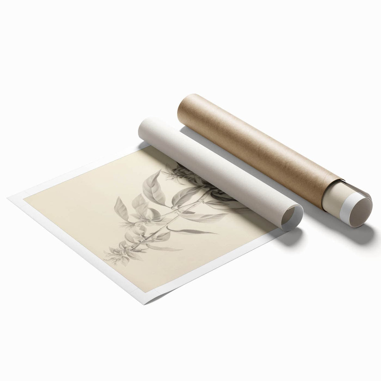 Vintage Botanical Art Prints – Antique Flowering Plant Illustration