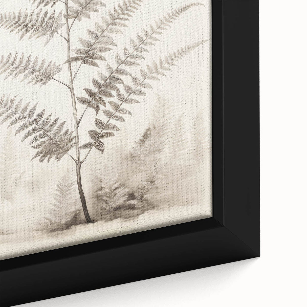 Vintage Botanical Art Prints – Fern Illustration in Black and White