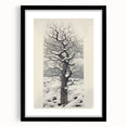 Vintage Botanical Art Prints – Snowy Tree Illustration in Black and White