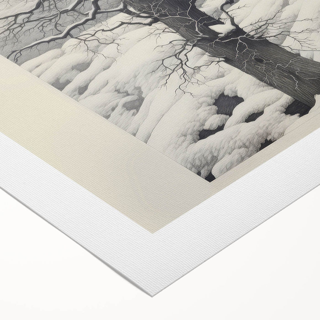 Vintage Botanical Art Prints – Snowy Tree Illustration in Black and White