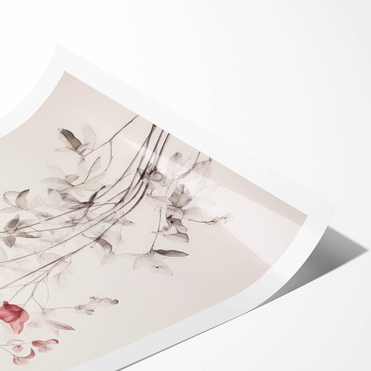 Vintage Botanical Art Prints – Soft Pink Floral Illustration