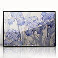 Vintage Botanical Art Prints – Blue Iris Flower Illustration