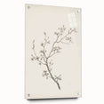 Vintage Botanical Art Prints – Black and White Branch Illustration