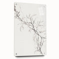 Vintage Botanical Art Prints – Elegant Branch Pencil Drawing