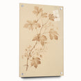 Vintage Botanical Art Prints – Soft Beige Leaf Illustration
