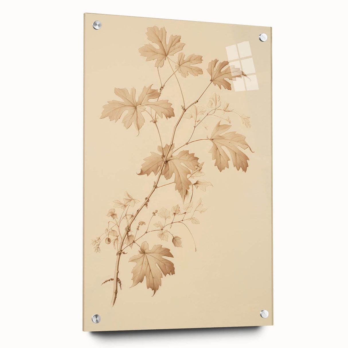 Vintage Botanical Art Prints – Soft Beige Leaf Illustration