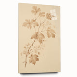 Vintage Botanical Art Prints – Soft Beige Leaf Illustration