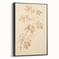 Vintage Botanical Art Prints – Soft Beige Leaf Illustration