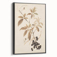Vintage Botanical Art Prints – Branch with Berries Illustration
