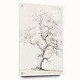 Vintage Botanical Art Prints – Pencil Tree Illustration