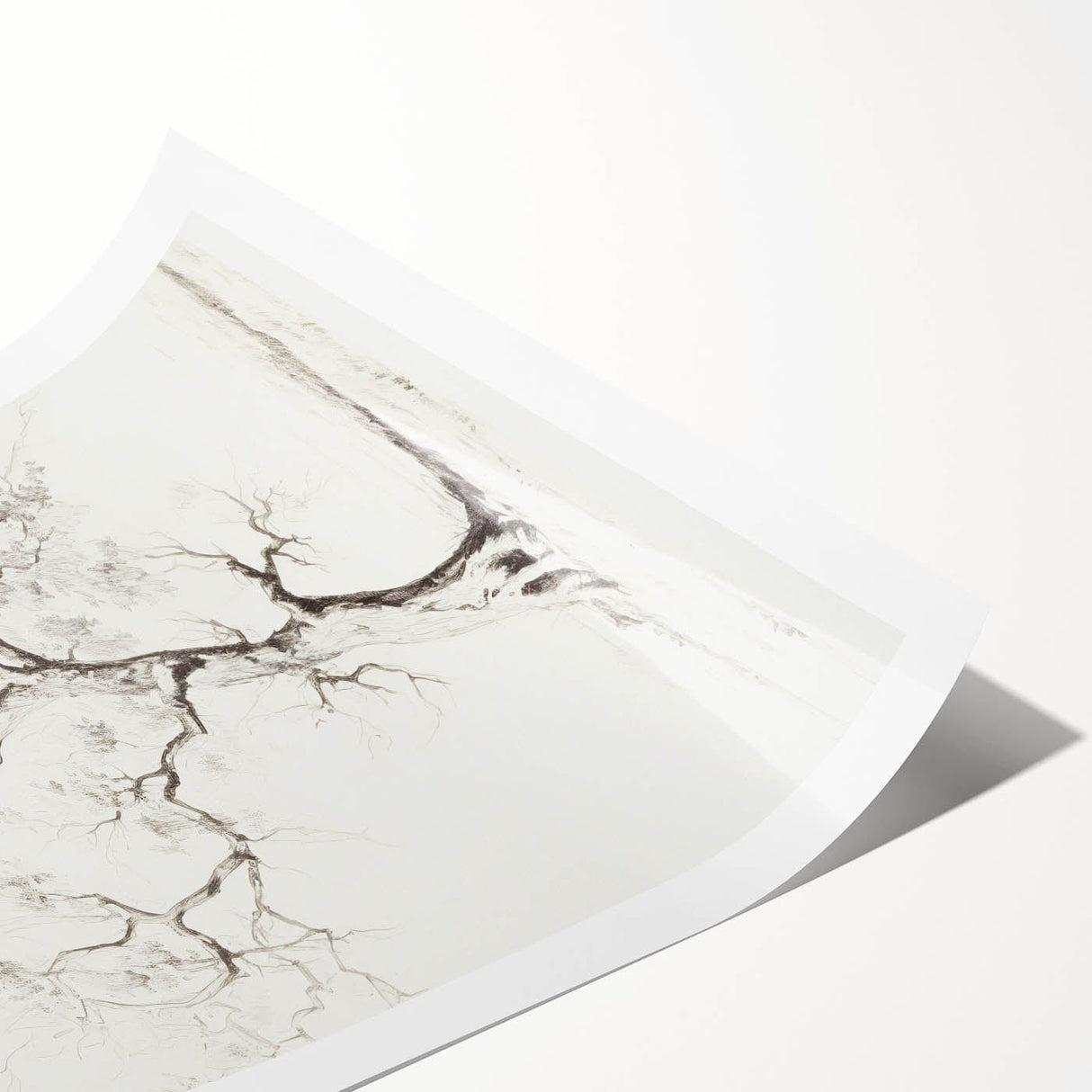 Vintage Botanical Art Prints – Pencil Tree Illustration