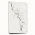 Vintage Botanical Art Prints – Delicate Branch Pencil Drawing