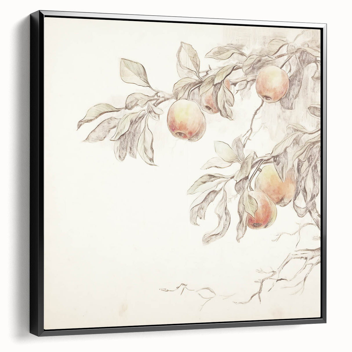 Vintage Botanical Art Prints – Apple Branch Pencil Drawing