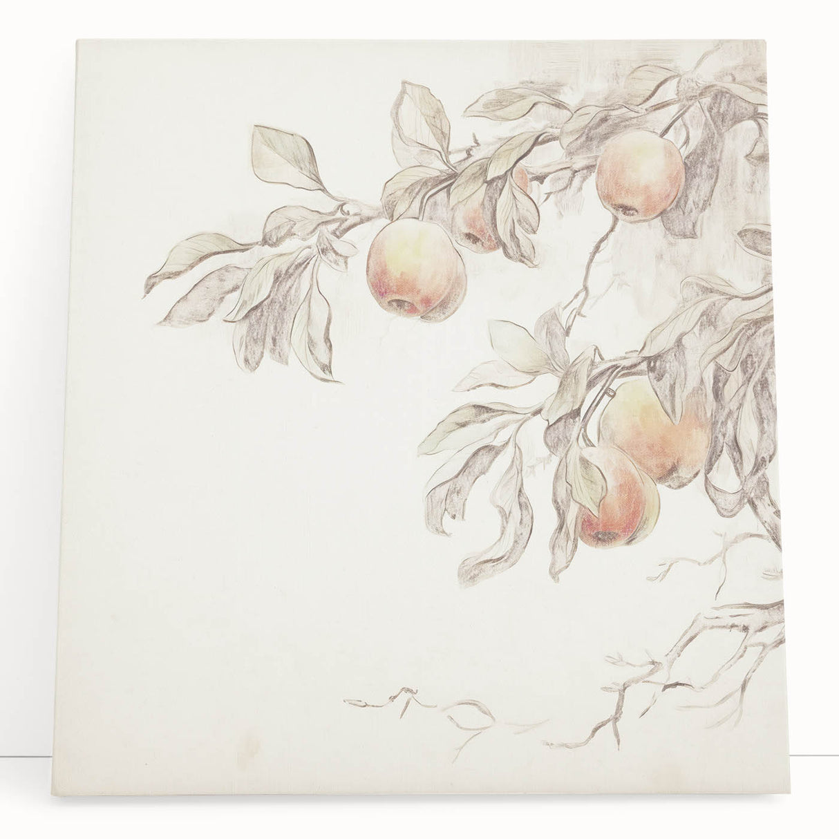 Vintage Botanical Art Prints – Apple Branch Pencil Drawing