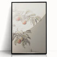 Vintage Botanical Art Print: Peach Branch Illustration in Soft Tones