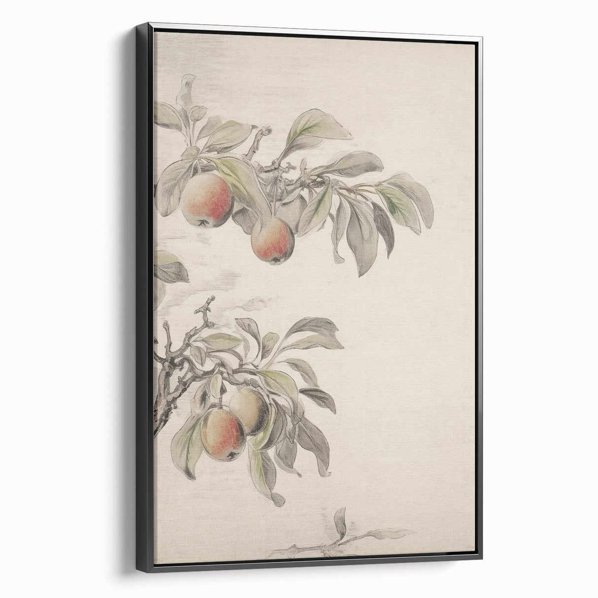 Vintage Botanical Art Print: Peach Branch Illustration in Soft Tones
