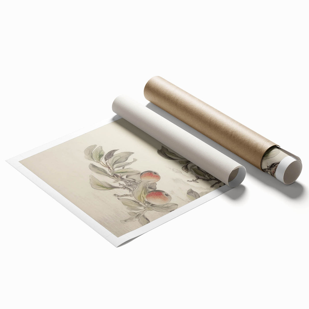 Vintage Botanical Art Print: Peach Branch Illustration in Soft Tones