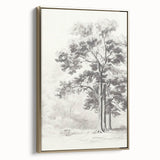 Vintage Botanical Art Print: Detailed Tree Sketch in Graphite Tones