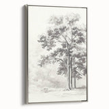 Vintage Botanical Art Print: Detailed Tree Sketch in Graphite Tones
