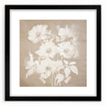 Vintage Botanical Art Print - Soft White Flowers – Framed