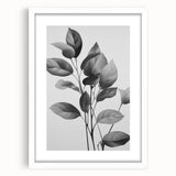 Vintage Botanical Art Prints: Monochrome Leaves