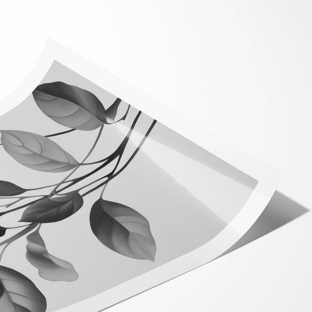 Vintage Botanical Art Prints: Monochrome Leaves