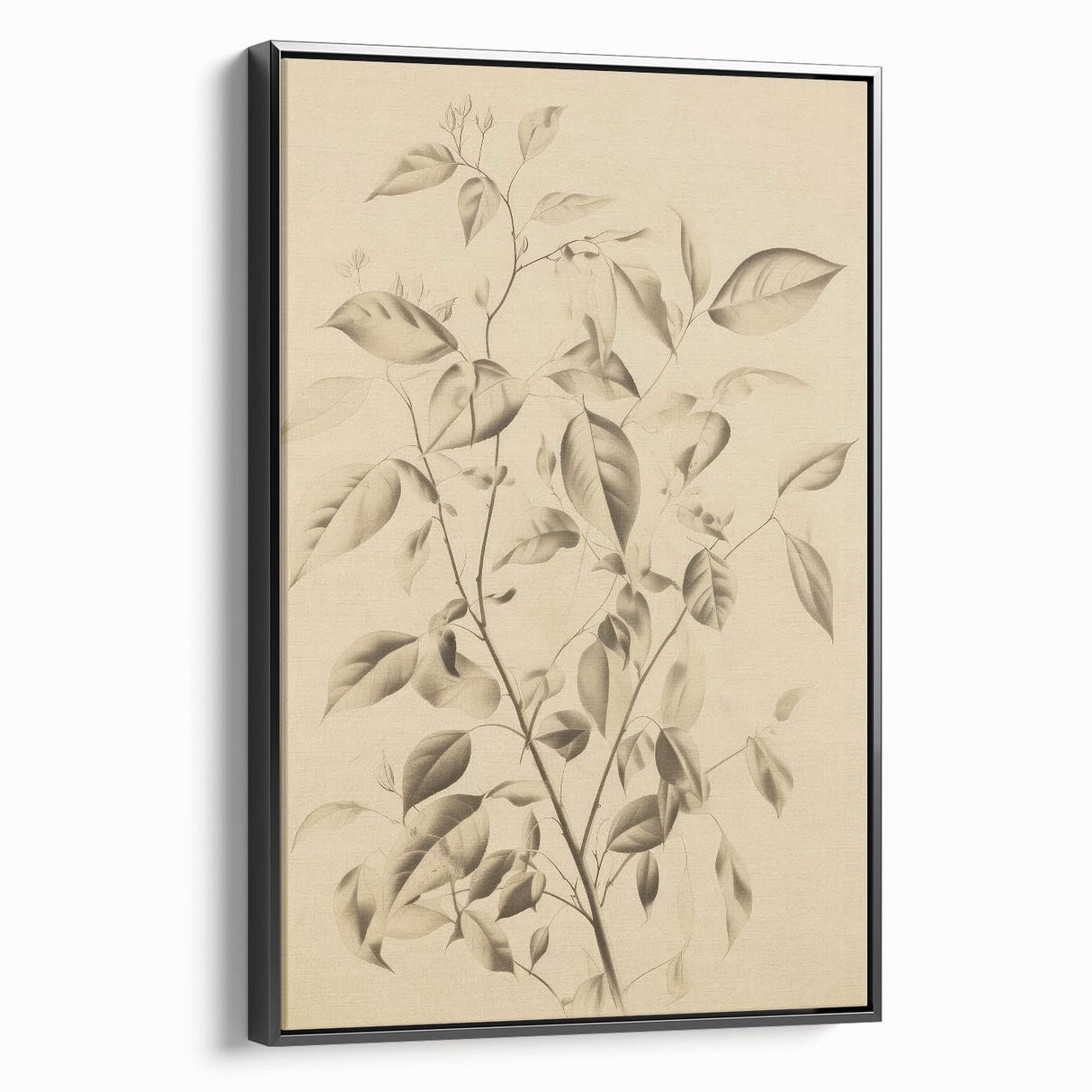 Vintage Botanical Art Prints: Soft Leaves in Beige