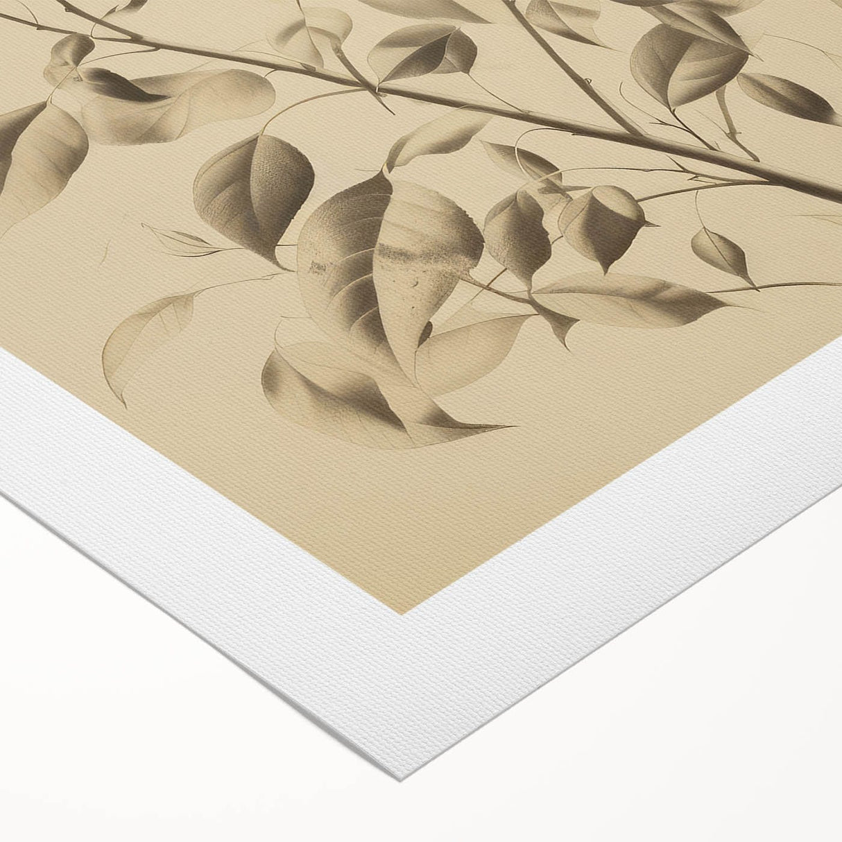 Vintage Botanical Art Prints: Soft Leaves in Beige