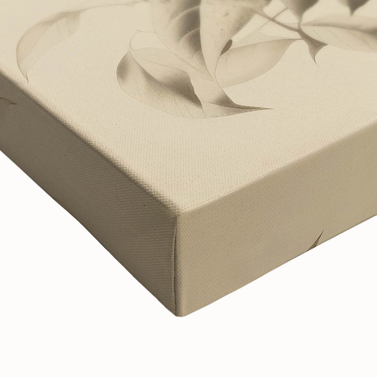 Vintage Botanical Art Prints: Soft Leaves in Beige