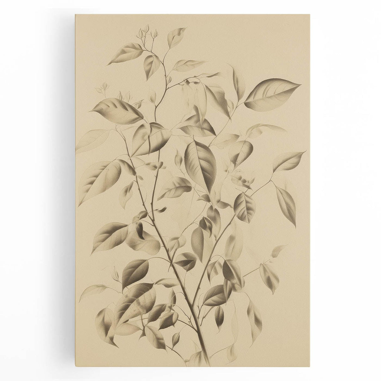 Vintage Botanical Art Prints: Soft Leaves in Beige