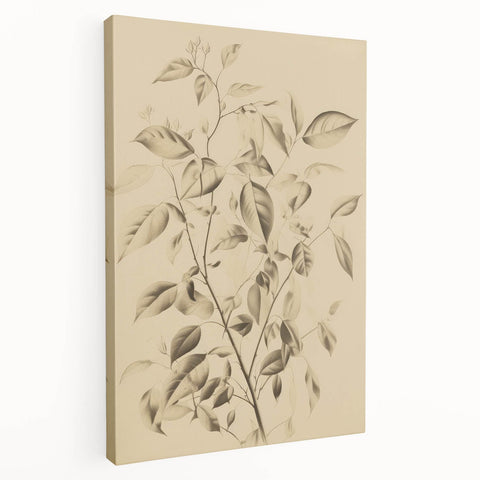 Vintage Botanical Art Prints: Soft Leaves in Beige