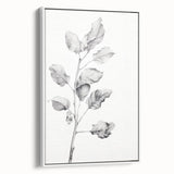 Vintage Botanical Art Print: Fiddle Leaf Plant in Black & White