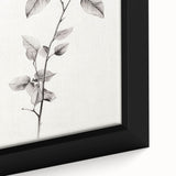 Vintage Botanical Art Print: Elegant Leaf Stem in Black & White