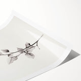 Vintage Botanical Art Print: Elegant Leaf Stem in Black & White