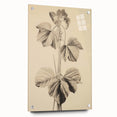Vintage Botanical Art Print: Elegant Leaf Stem Illustration
