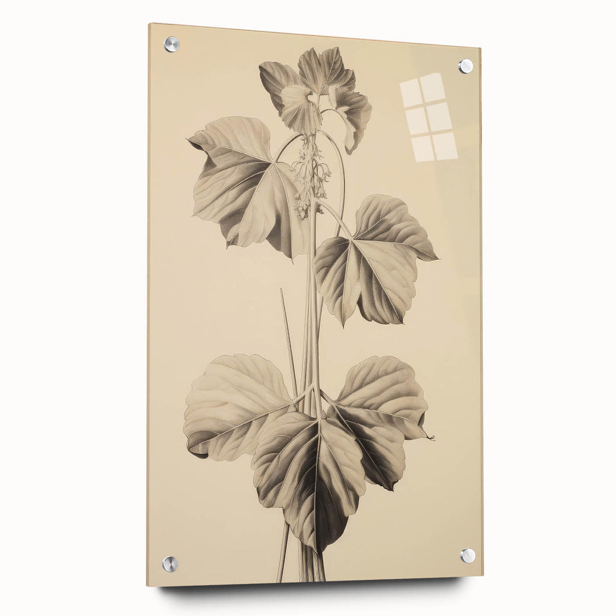 Vintage Botanical Art Print: Elegant Leaf Stem Illustration