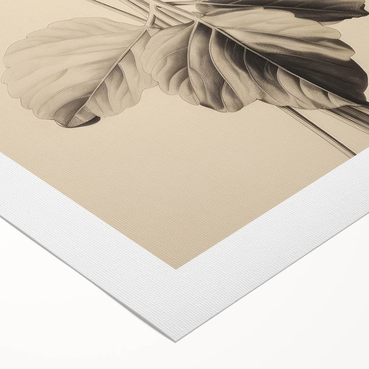 Vintage Botanical Art Print: Elegant Leaf Stem Illustration