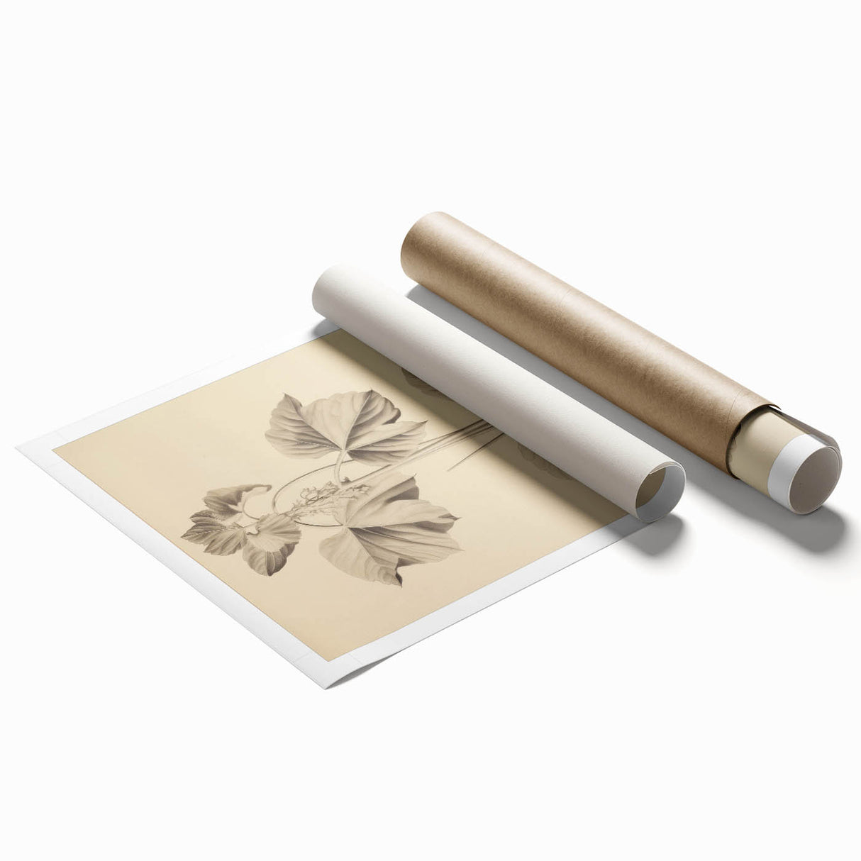 Vintage Botanical Art Print: Elegant Leaf Stem Illustration
