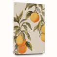 Vintage Botanical Art Print: Antique Lemon Tree Illustration