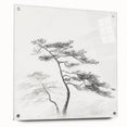Vintage Botanical Art Print: Elegant Tree Sketch Illustration
