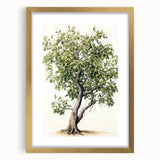 Vintage Botanical Fruit Tree Print – Classic Nature Wall Art