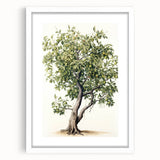 Vintage Botanical Fruit Tree Print – Classic Nature Wall Art