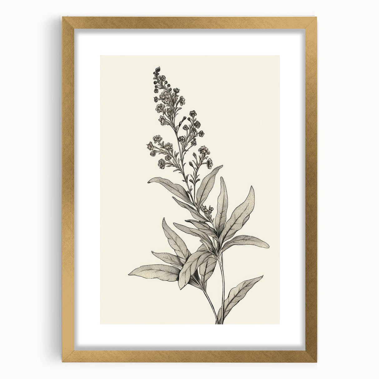 Vintage Botanical Art Prints – Detailed Flowering Plant Illustration