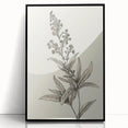 Vintage Botanical Art Prints – Detailed Flowering Plant Illustration