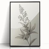 Vintage Botanical Art Prints – Detailed Flowering Plant Illustration