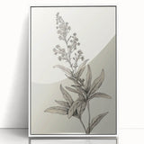 Vintage Botanical Art Prints – Detailed Flowering Plant Illustration