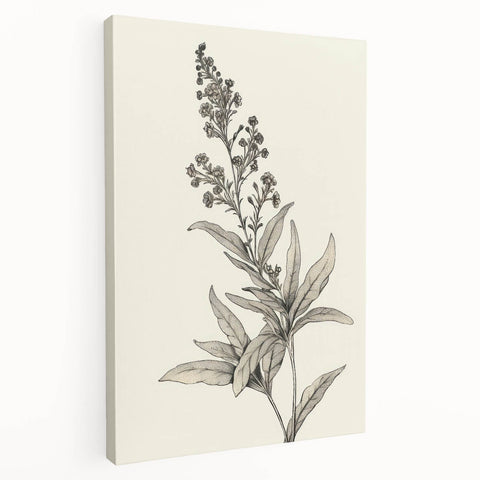 Vintage Botanical Art Prints – Detailed Flowering Plant Illustration