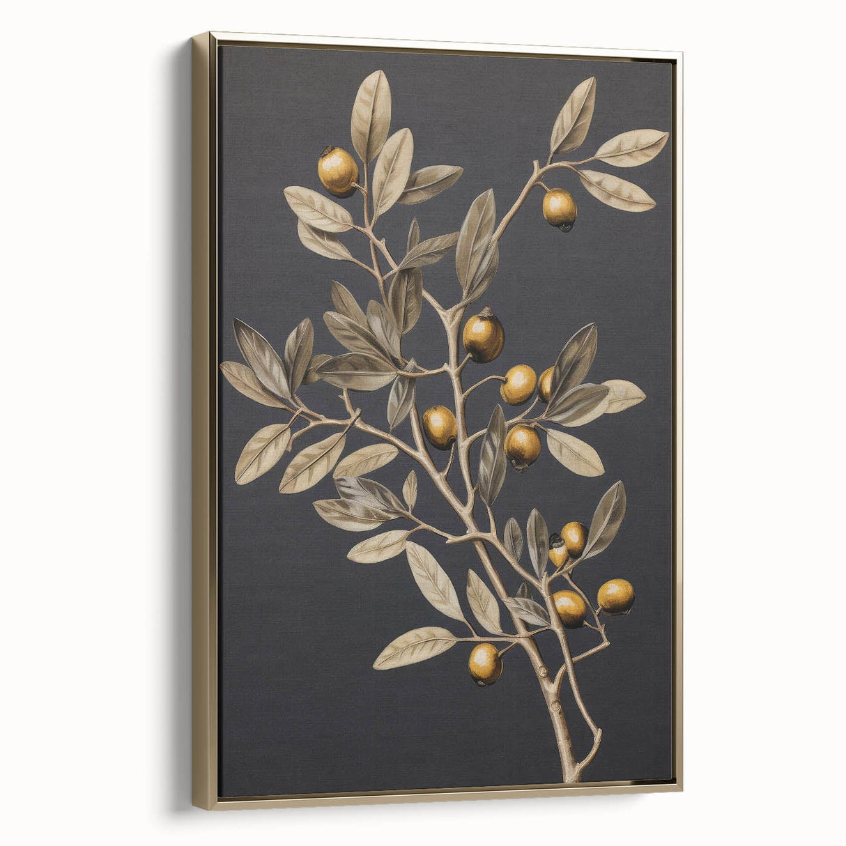Vintage Botanical Art Prints – Olive Branch with Golden Olives