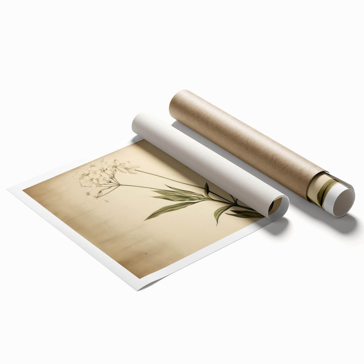 Vintage Botanical Art Prints – Elegant Flower Illustration